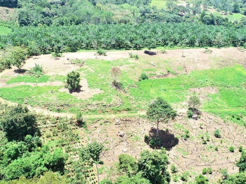 0 bed Lot/Land For Sale in San Isidro-Perez Zeledon,  - 1